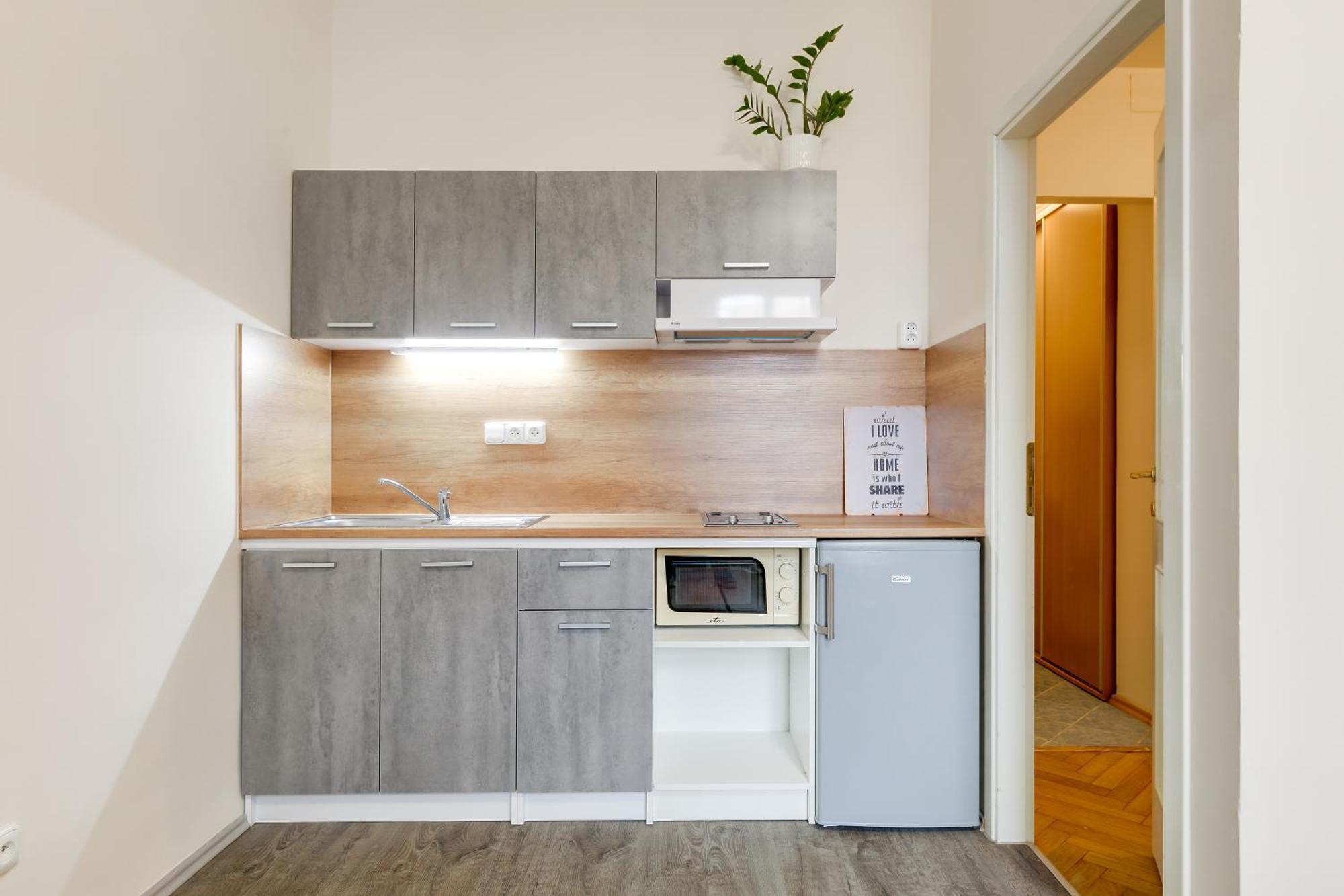 Vita Nejedleho Apartments Prague Exterior photo